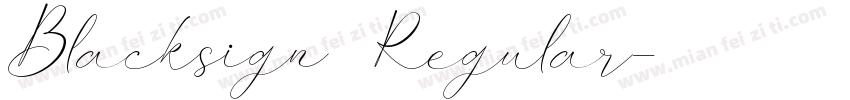 Blacksign Regular字体转换